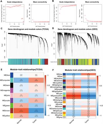 A Comprehensive Bioinformatic Analysis for Identification of Myeloid-Associated Differentiation Marker as a Potential Negative Prognostic Biomarker in Non-Small-Cell Lung Cancer